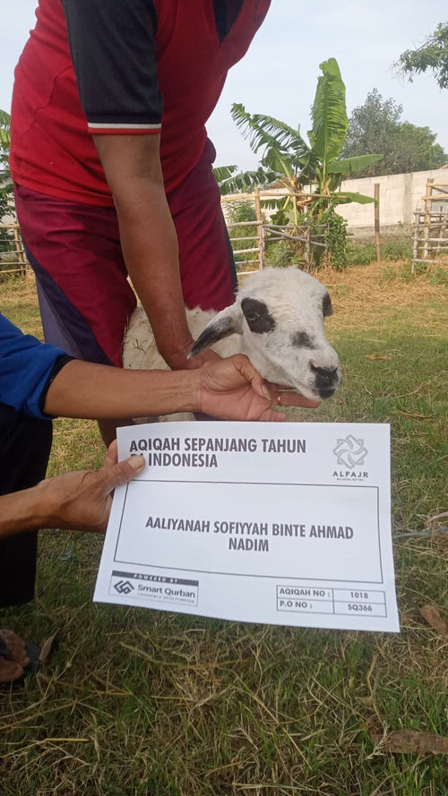 Aqiqah (Mecca & Indonesia)