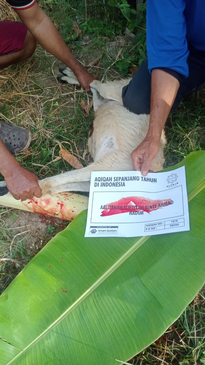 Aqiqah (Mecca & Indonesia)