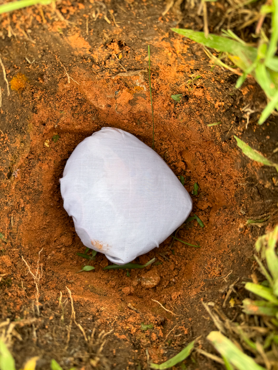 Placenta Burial