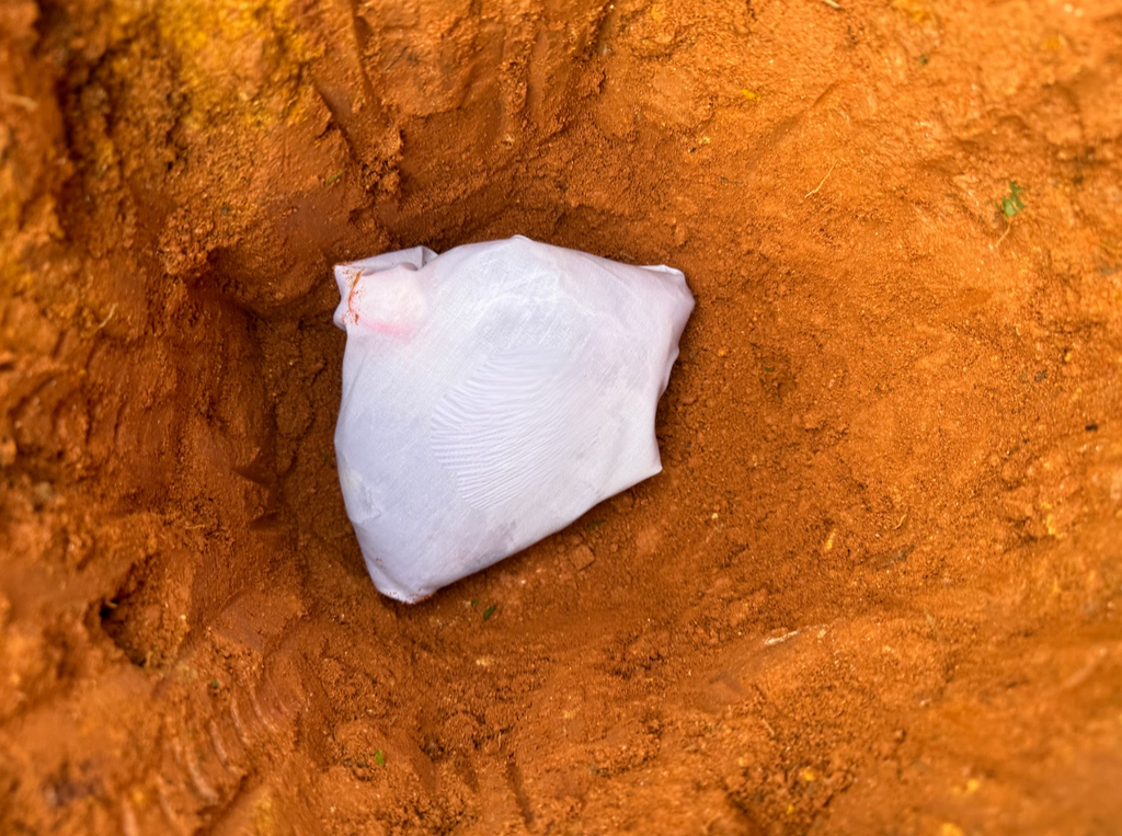 Placenta Burial
