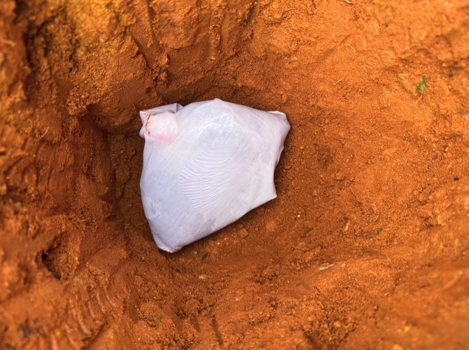 Placenta Burial