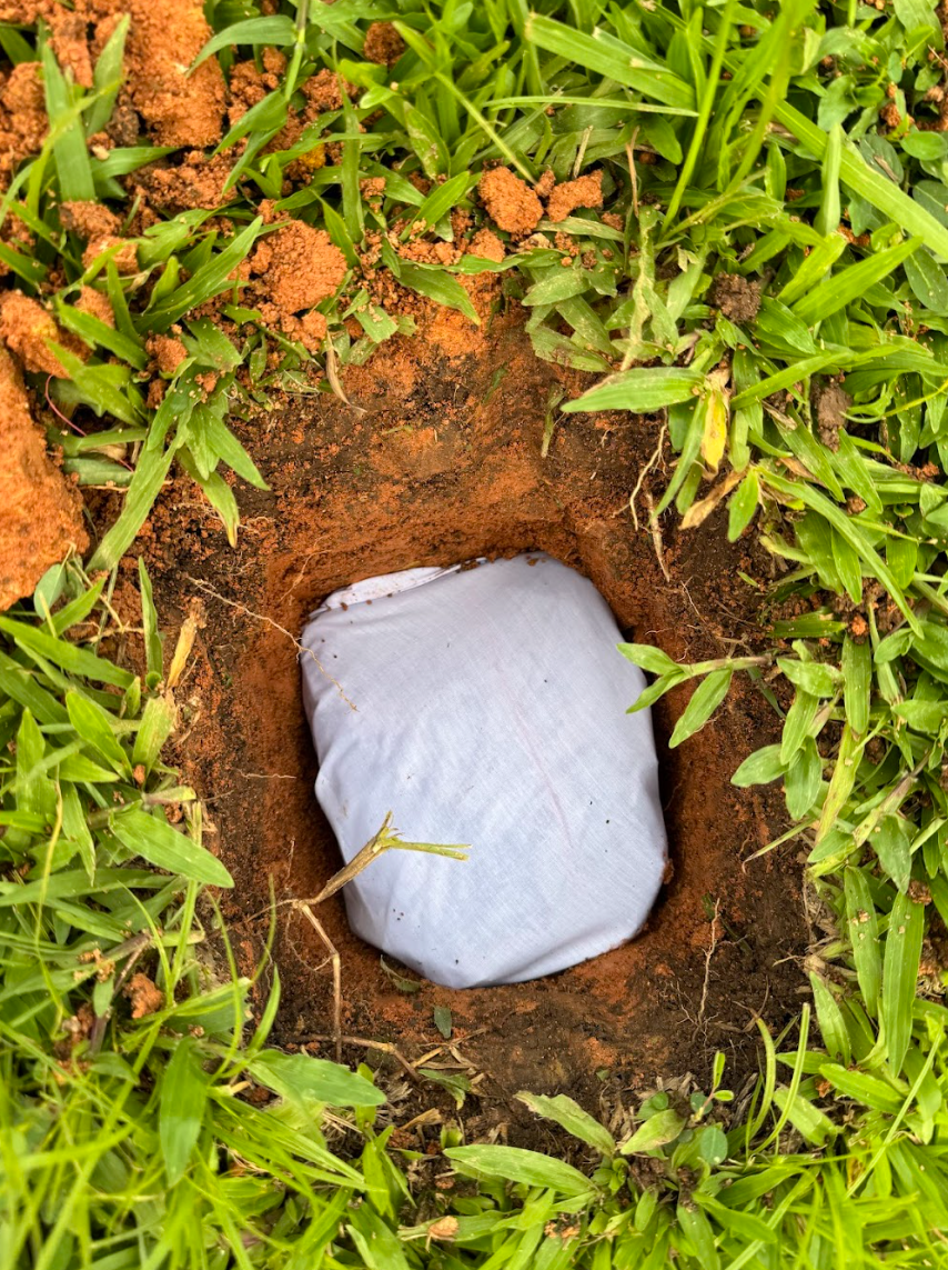 Placenta Burial